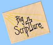 Hand-painted in the USA - Big Scripture